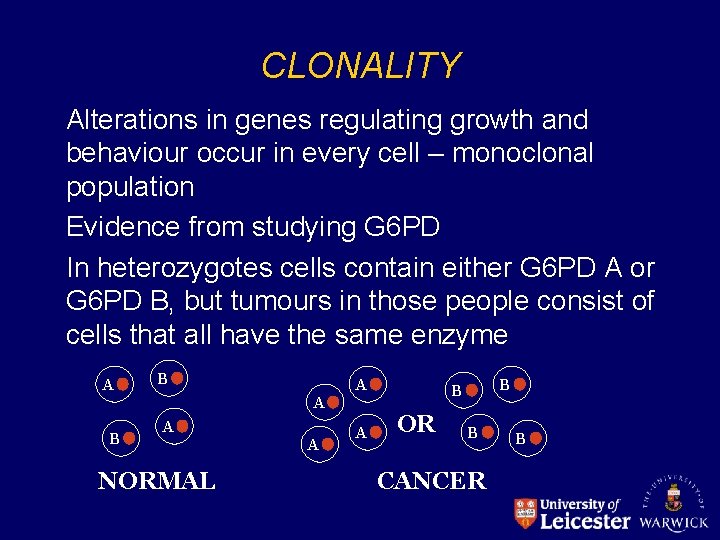 CLONALITY Alterations in genes regulating growth and behaviour occur in every cell – monoclonal