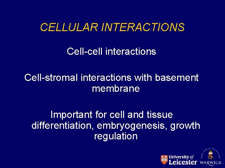 CELLULAR INTERACTIONS Cell-cell interactions Cell-stromal interactions with basement membrane Important for cell and tissue