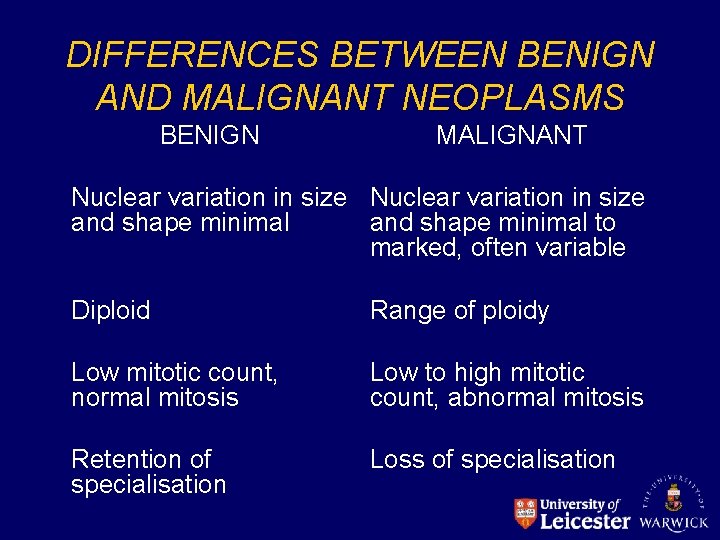 DIFFERENCES BETWEEN BENIGN AND MALIGNANT NEOPLASMS BENIGN MALIGNANT Nuclear variation in size and shape