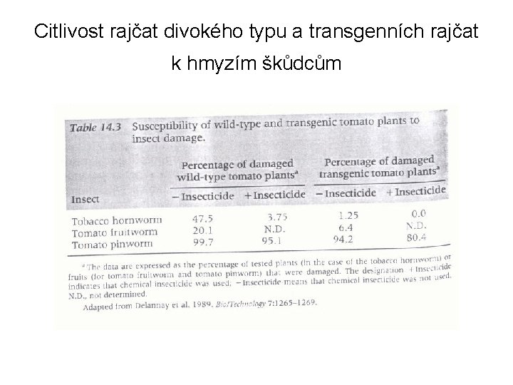 Citlivost rajčat divokého typu a transgenních rajčat k hmyzím škůdcům 