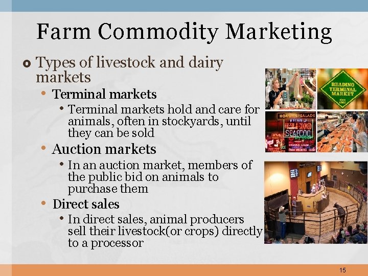 Farm Commodity Marketing Types of livestock and dairy markets • Terminal markets hold and