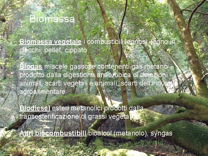 Biomassa vegetale i combustibili legnosi: legno in ciocchi, pellet, cippato Biogas miscele gassose contenenti