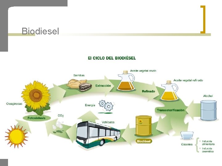 Biodiesel 