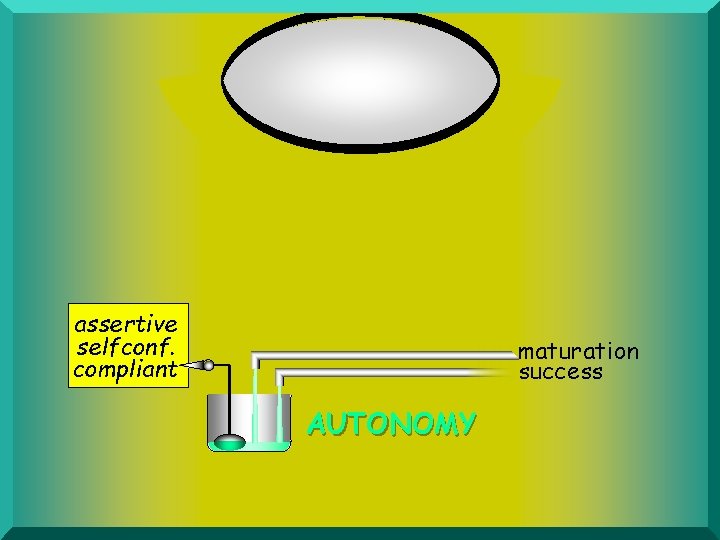 assertive selfconf. compliant maturation success AUTONOMY 