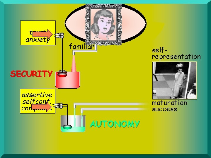 trust anxiety familiar selfrepresentation SECURITY assertive selfconf. compliant maturation success AUTONOMY 