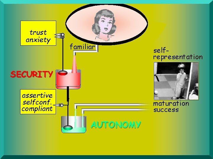 trust anxiety familiar selfrepresentation SECURITY assertive selfconf. compliant maturation success AUTONOMY 