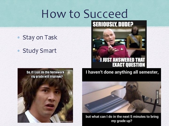 How to Succeed • Stay on Task • Study Smart 