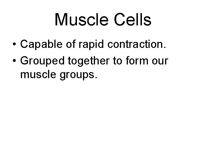 Muscle Cells • Capable of rapid contraction. • Grouped together to form our muscle