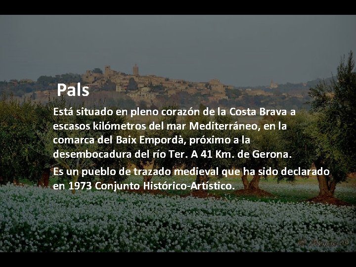  Pals Está situado en pleno corazón de la Costa Brava a escasos kilómetros