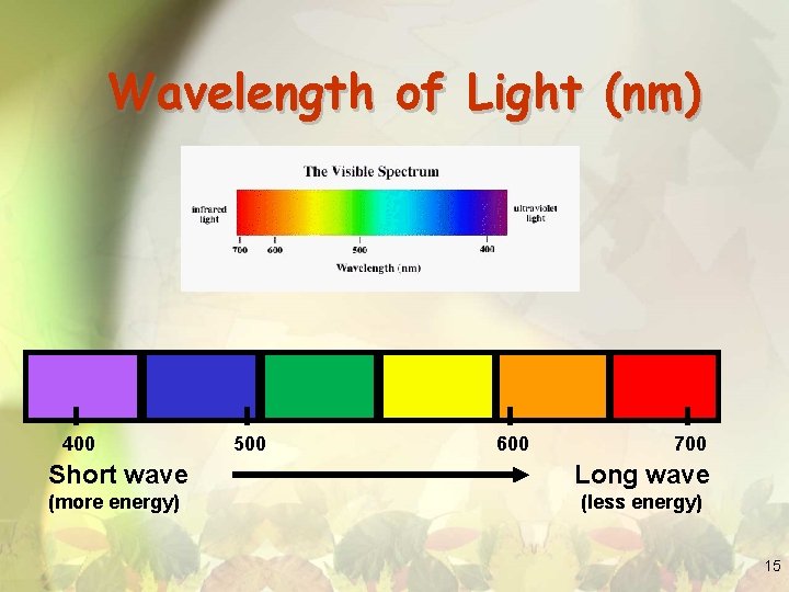 Wavelength of Light (nm) 400 500 600 700 Short wave Long wave (more energy)