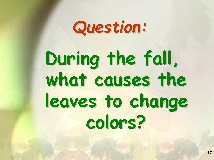 Question: During the fall, what causes the leaves to change colors? 17 