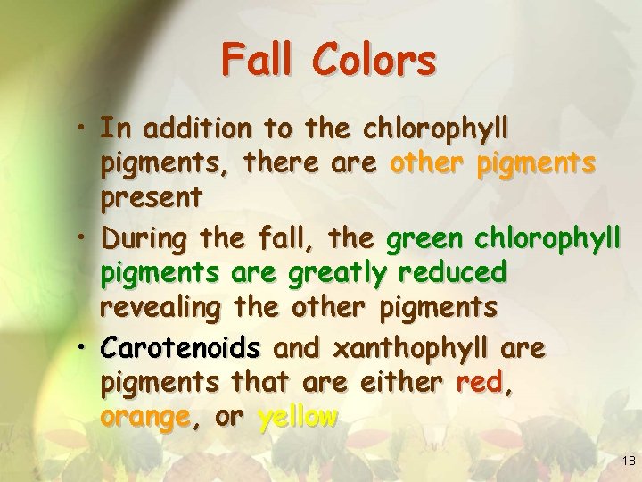 Fall Colors • In addition to the chlorophyll pigments, there are other pigments present