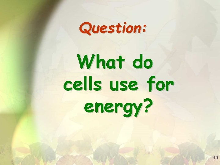 Question: What do cells use for energy? 19 