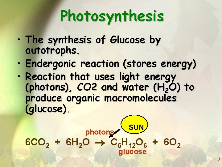 Photosynthesis • The synthesis of Glucose by autotrophs. • Endergonic reaction (stores energy) •