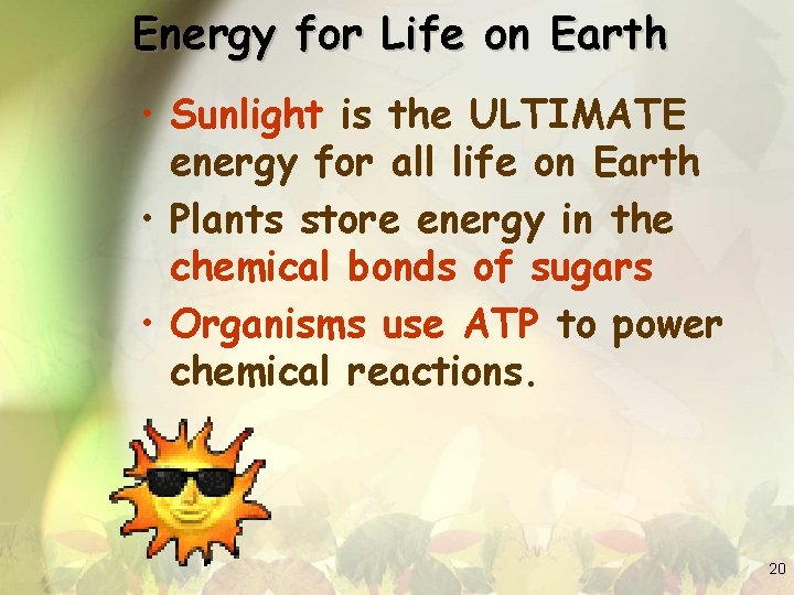 Energy for Life on Earth • Sunlight is the ULTIMATE energy for all life