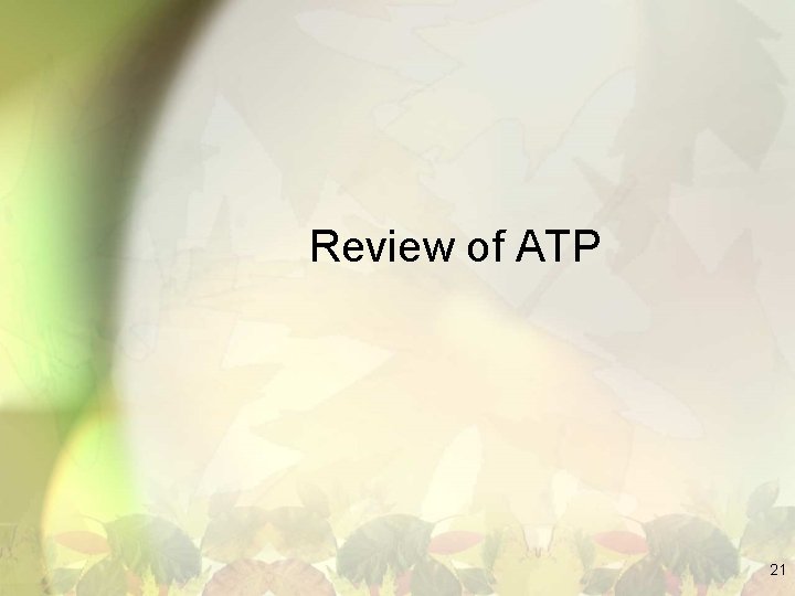 Review of ATP 21 