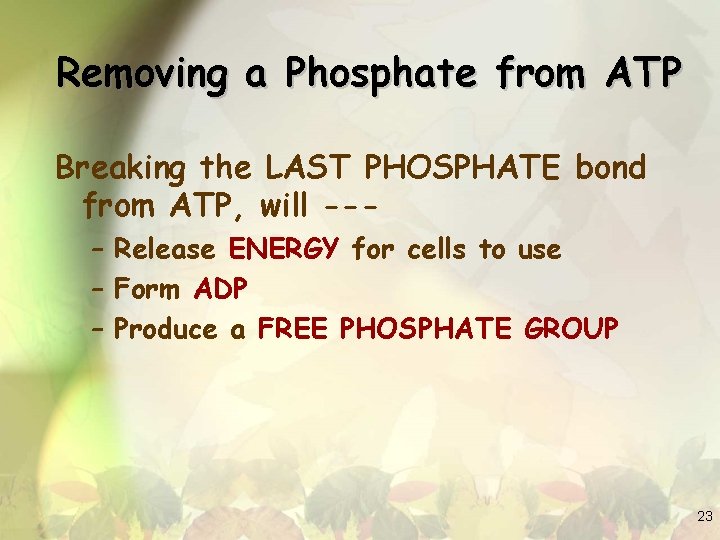 Removing a Phosphate from ATP Breaking the LAST PHOSPHATE bond from ATP, will --–