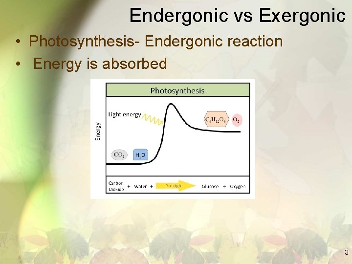 Endergonic vs Exergonic • Photosynthesis- Endergonic reaction • Energy is absorbed 3 
