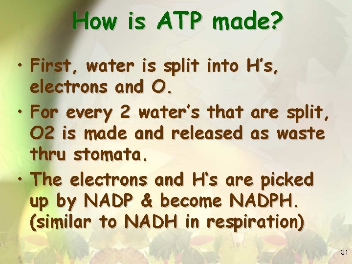 How is ATP made? • First, water is split into H’s, electrons and O.