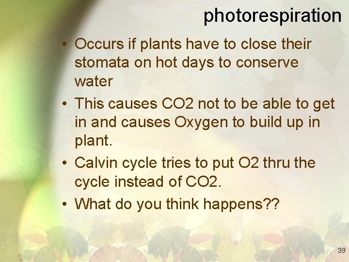 photorespiration • Occurs if plants have to close their stomata on hot days to