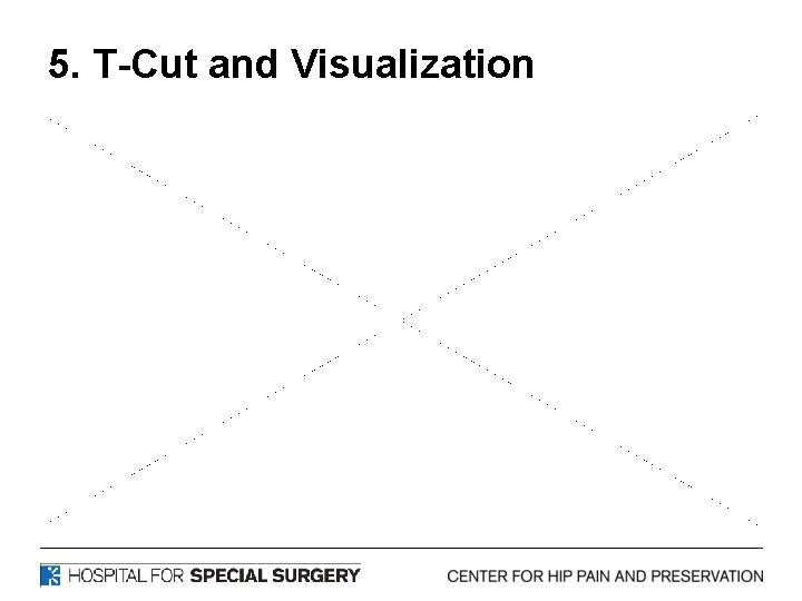 5. T-Cut and Visualization 