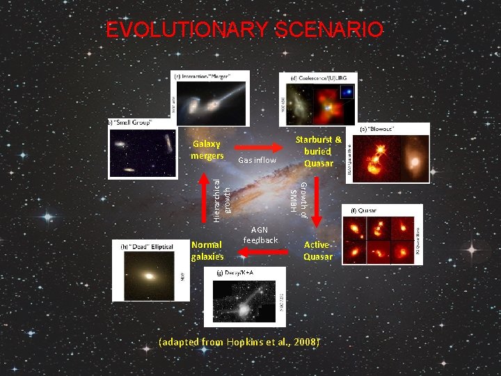 EVOLUTIONARY SCENARIO Gas inflow Normal galaxies Starburst & buried Quasar Growth of SMBH Hierarchical