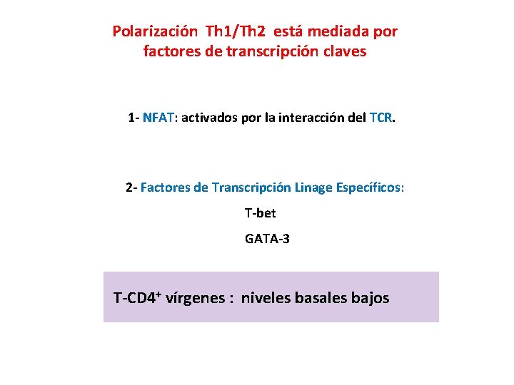 Polarización Th 1/Th 2 está mediada por factores de transcripción claves 1 - NFAT: