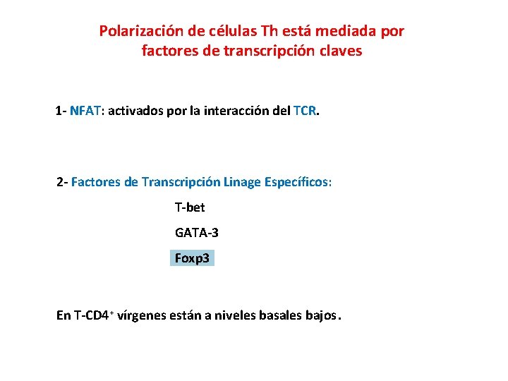 Polarización de células Th está mediada por factores de transcripción claves 1 - NFAT:
