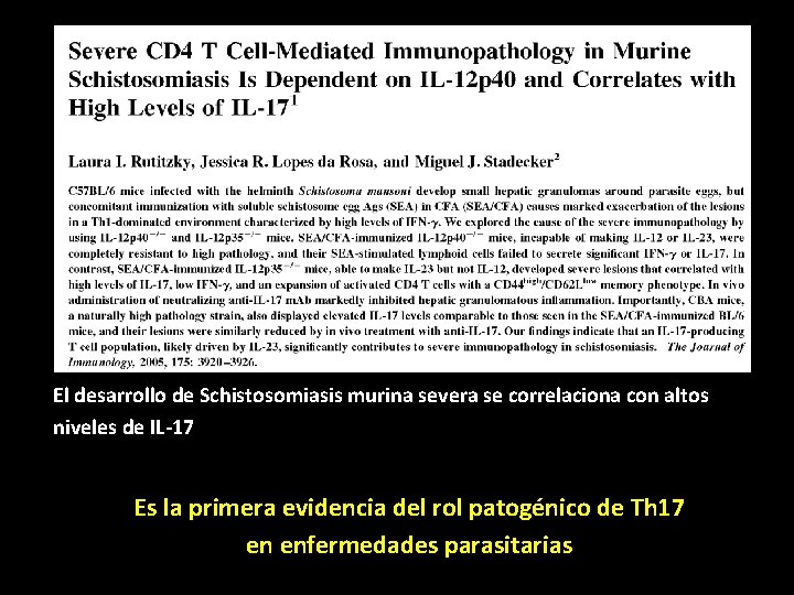 El desarrollo de Schistosomiasis murina severa se correlaciona con altos niveles de IL-17 Es