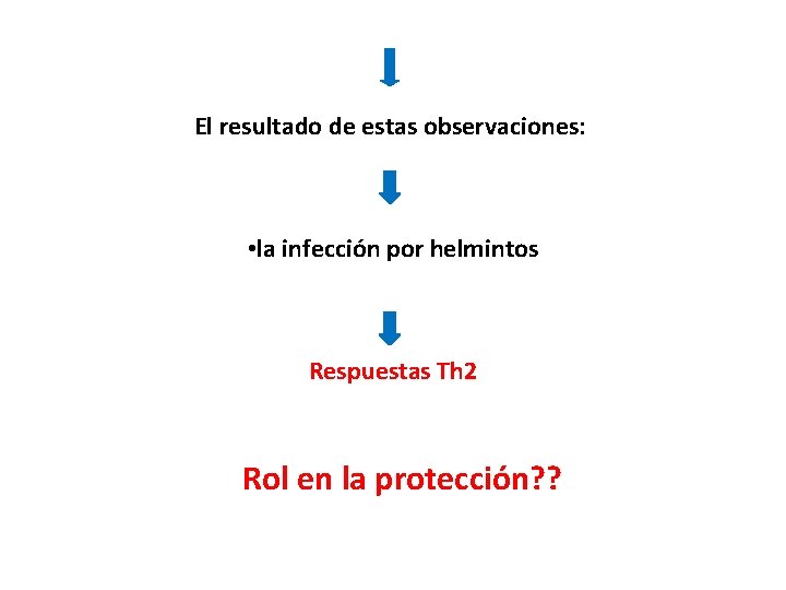 El resultado de estas observaciones: • la infección por helmintos Respuestas Th 2 Rol