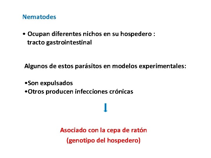 Nematodes • Ocupan diferentes nichos en su hospedero : tracto gastrointestinal Algunos de estos