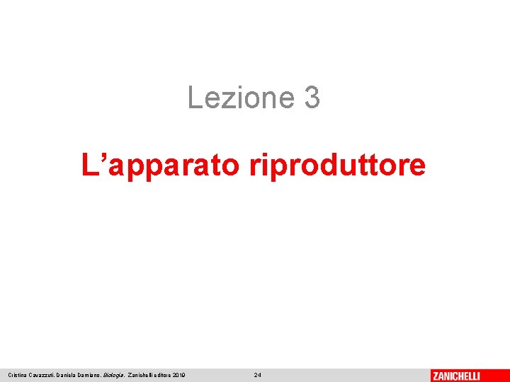 Lezione 3 L’apparato riproduttore Cristina Cavazzuti, Daniela Damiano, Biologia, Zanichelli editore 2019 24 