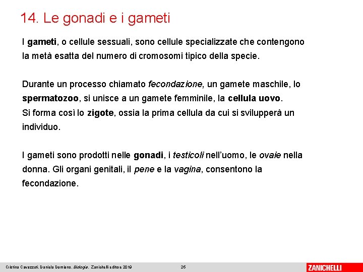 14. Le gonadi e i gameti I gameti, o cellule sessuali, sono cellule specializzate