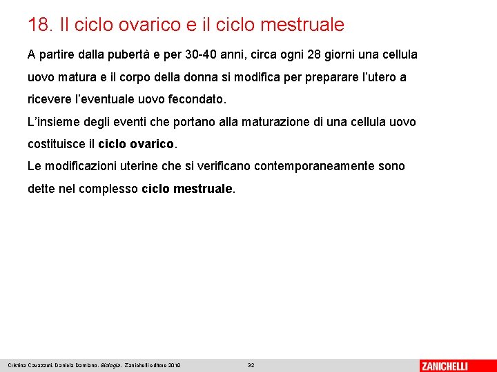 18. Il ciclo ovarico e il ciclo mestruale A partire dalla pubertà e per