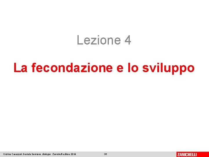 Lezione 4 La fecondazione e lo sviluppo Cristina Cavazzuti, Daniela Damiano, Biologia, Zanichelli editore