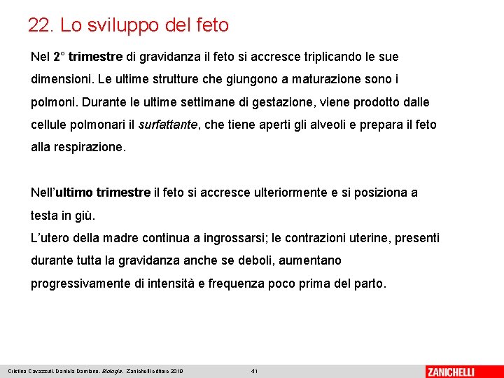 22. Lo sviluppo del feto Nel 2° trimestre di gravidanza il feto si accresce