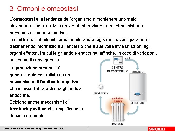 3. Ormoni e omeostasi L’omeostasi è la tendenza dell’organismo a mantenere uno stato stazionario,