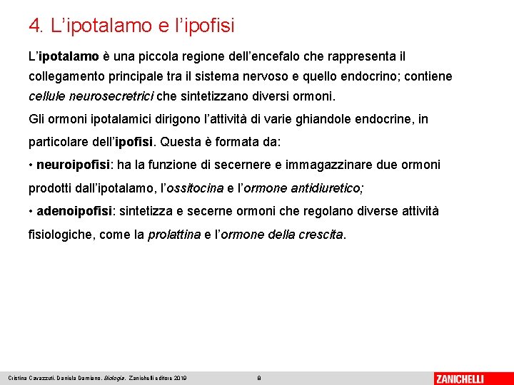 4. L’ipotalamo e l’ipofisi L’ipotalamo è una piccola regione dell’encefalo che rappresenta il collegamento