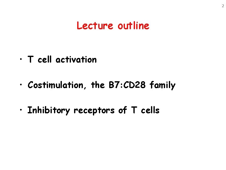 2 Lecture outline • T cell activation • Costimulation, the B 7: CD 28