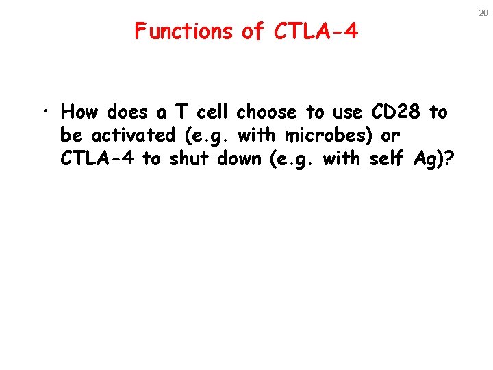 Functions of CTLA-4 • How does a T cell choose to use CD 28