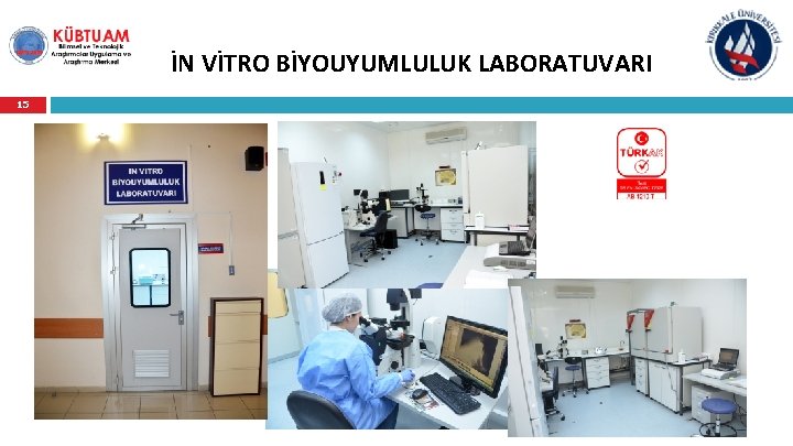 İN VİTRO BİYOUYUMLULUK LABORATUVARI 15 