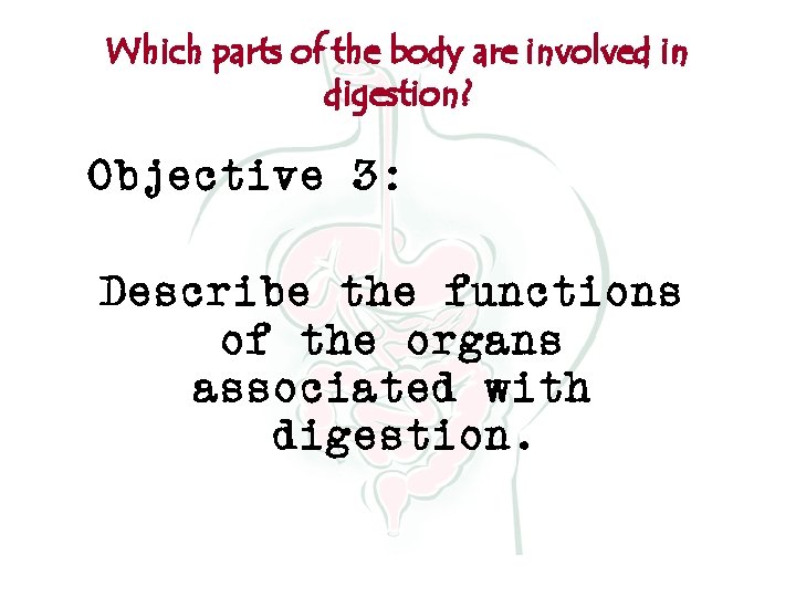 Which parts of the body are involved in digestion? Objective 3: Describe the functions
