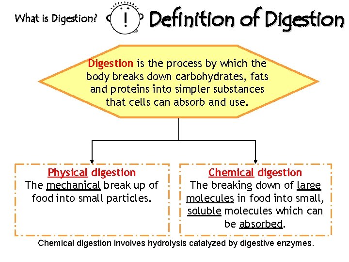 What is Digestion? Definition of Digestion is the process by which the body breaks