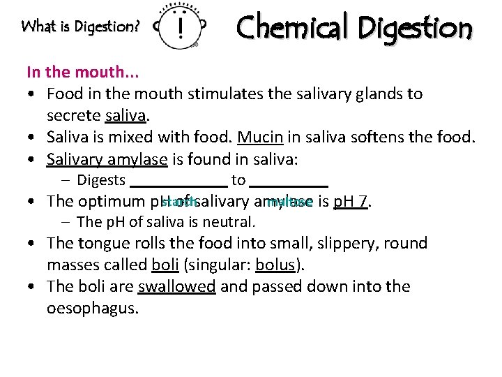 What is Digestion? Chemical Digestion In the mouth. . . • Food in the