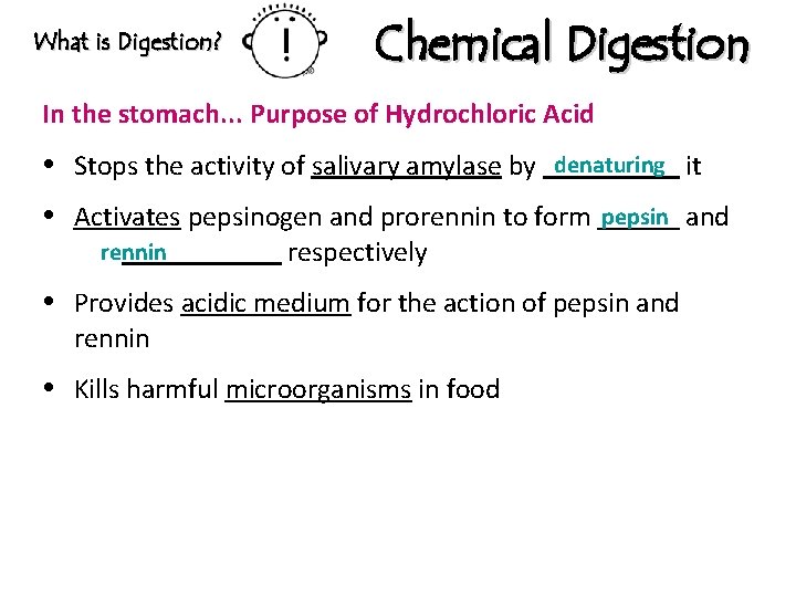 What is Digestion? Chemical Digestion In the stomach. . . Purpose of Hydrochloric Acid