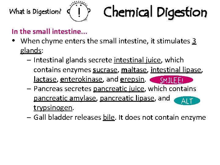 What is Digestion? Chemical Digestion In the small intestine. . . When chyme enters