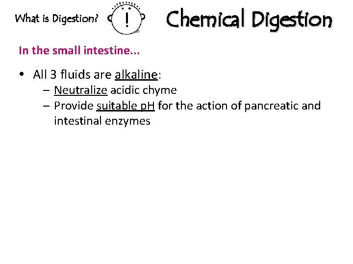 What is Digestion? Chemical Digestion In the small intestine. . . All 3 fluids