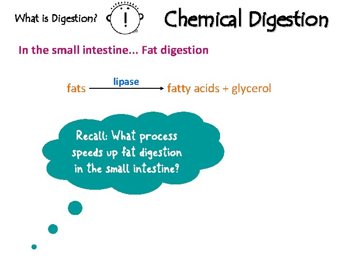 Chemical Digestion What is Digestion? In the small intestine. . . Fat digestion fats