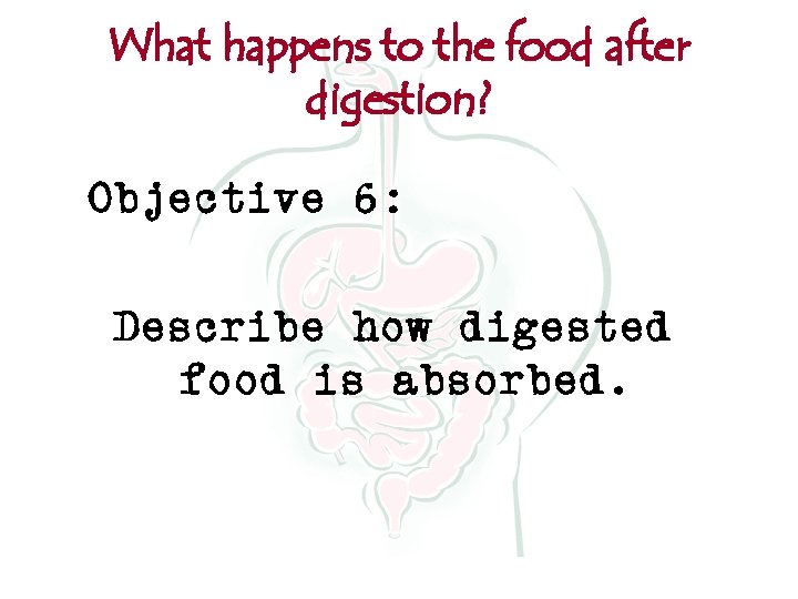 What happens to the food after digestion? Objective 6: Describe how digested food is