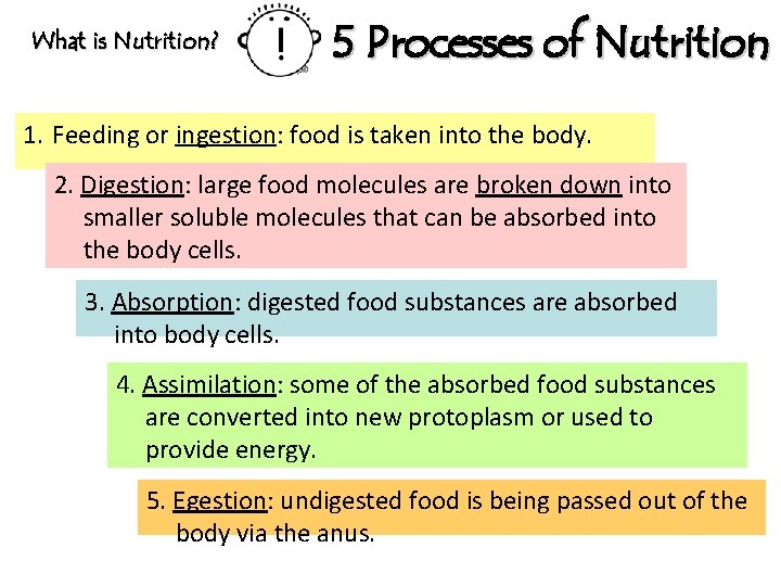 What is Nutrition? 5 Processes of Nutrition 1. Feeding or ingestion: food is taken